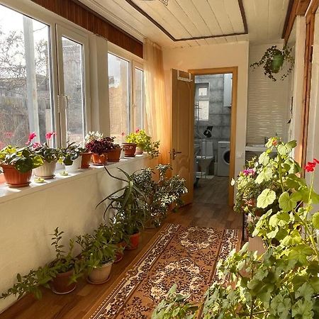 Gulnara Guest House Balykchy Экстерьер фото