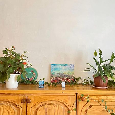 Gulnara Guest House Balykchy Экстерьер фото
