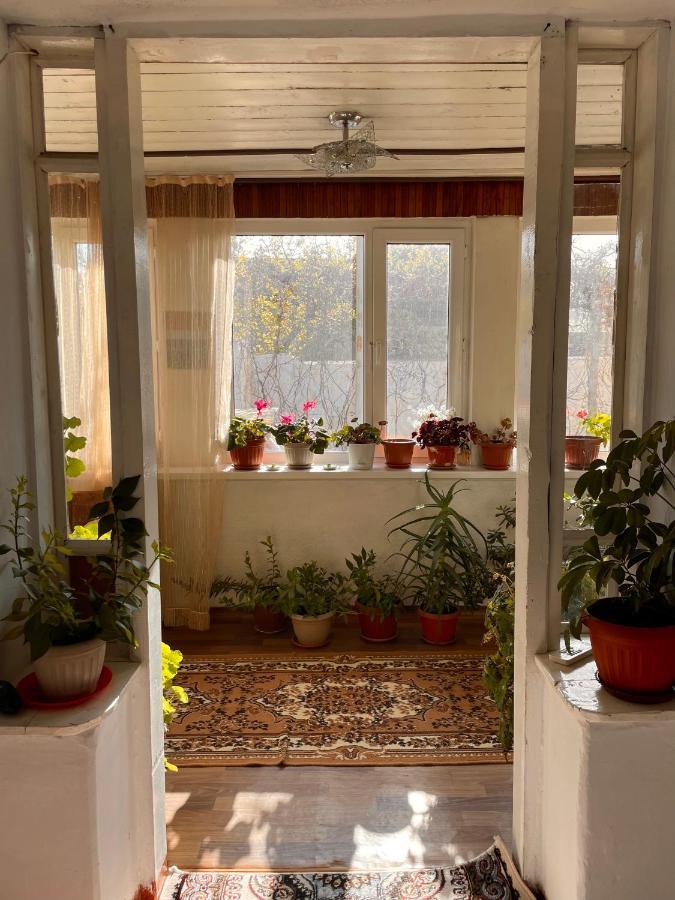 Gulnara Guest House Balykchy Экстерьер фото