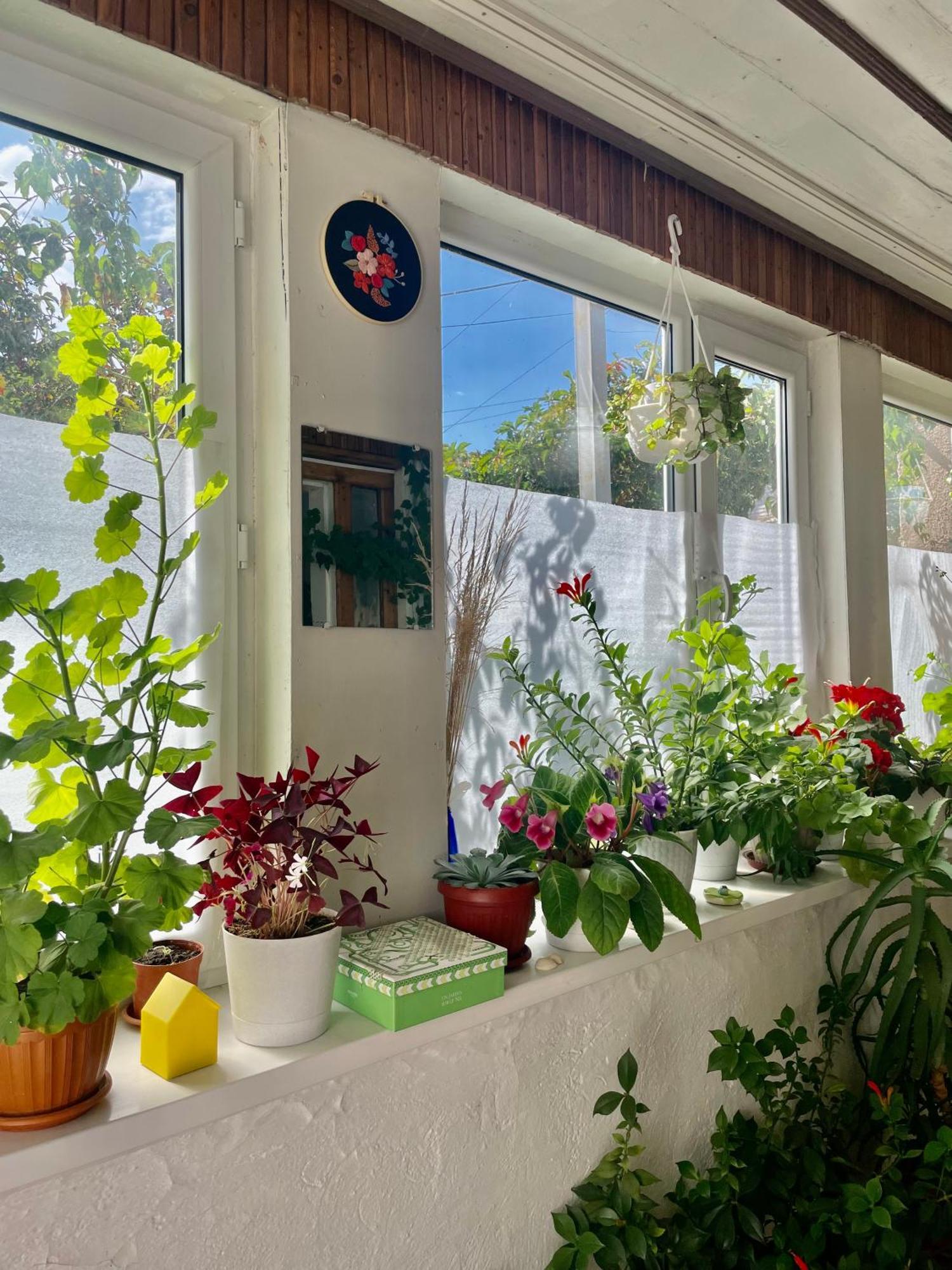 Gulnara Guest House Balykchy Экстерьер фото
